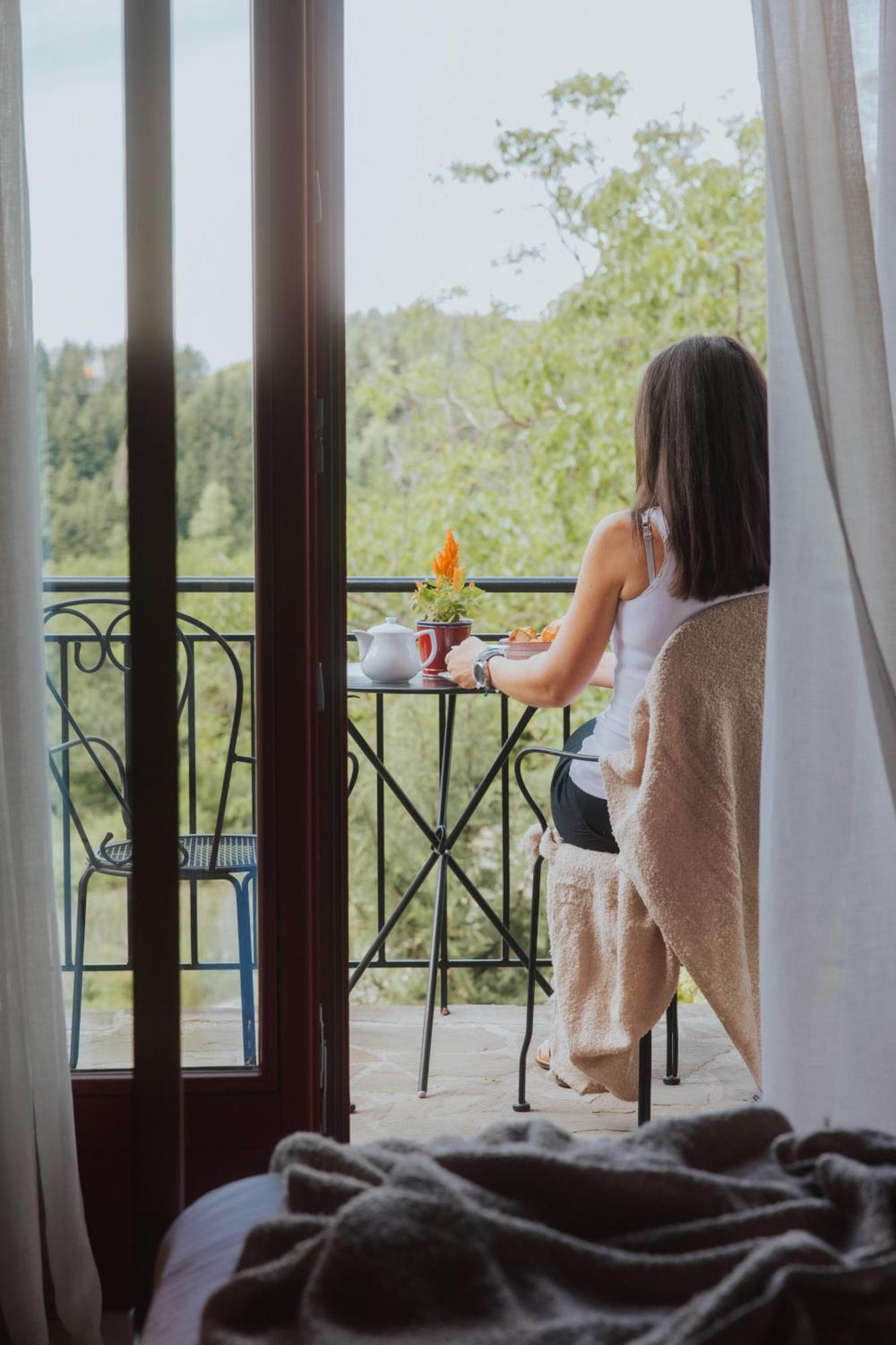 Rouista Tzoumerka Resort Vourgareli Pokój zdjęcie